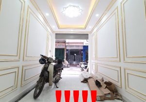 BÁN NHÀ NGÕ VŨ TRỌNG PHỤNG 37